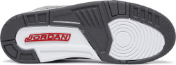 Nike Air Jordan 3 Retro &#039;Cool Grey&#039; 2021